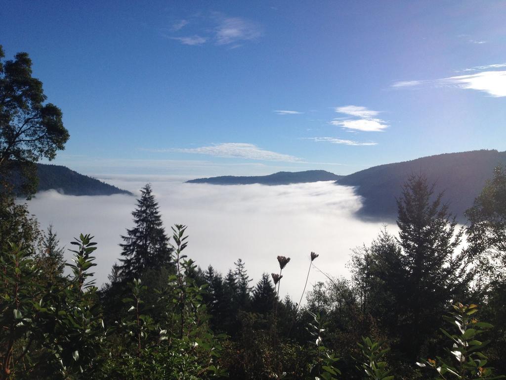 Moon Water Lodge Malahat ห้อง รูปภาพ